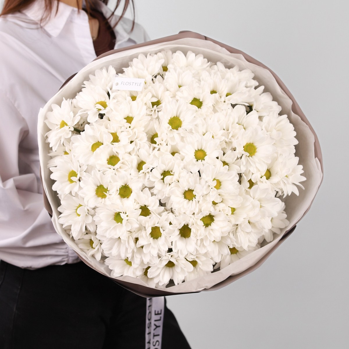 15 hrizantem romashka 439